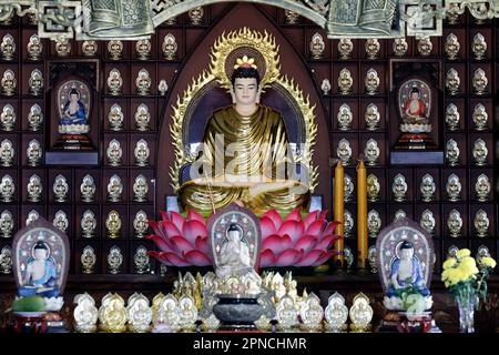 Phat Quang buddhistischer Tempel. Siddhartha Gautama, der Shakyamuni Buddha. Chau Doc. Vietnam. Stockfoto