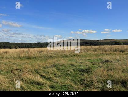 Darwen Tower und Darwen Hill blickten an einem Herbsttag vom Wheelton Moor aus auf das West Pennine Moors Lancashire England Stockfoto