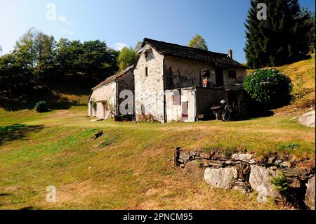 Alpe Vercio kann mit einem Spaziergang vom Dorf Bracchio aus erreicht werden. Mergozzo, Cusio Ossola Verbano, Piedmont, Italien, Europa Stockfoto