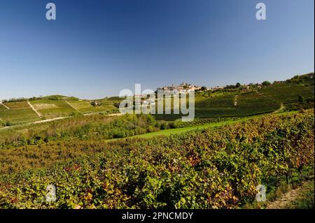 La Morra, um die Stadt herum ein schönes, aber künstlich geschaffenes Land, das durch Weinberge gekennzeichnet ist, ist Langa, Cuneo, Piedmont, Italien, Europa, UNESCO, World Herita Stockfoto