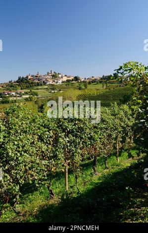 La Morra, um die Stadt herum ein schönes, aber künstlich geschaffenes Land, das durch Weinberge gekennzeichnet ist, ist Langa, Cuneo, Piedmont, Italien, Europa, UNESCO, World Herita Stockfoto