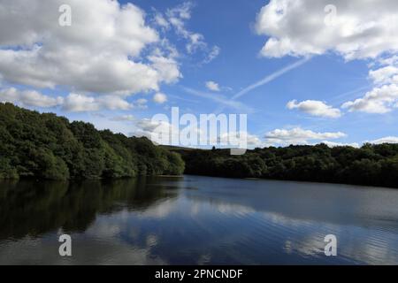 Roddlesworth Reservoirs Roddlesworth Lancashire England Stockfoto