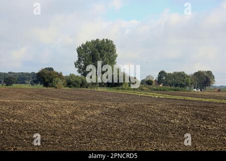 Die Felder werden vom Schleppweg des Leeds und Liverpool Canal Rufford Branch in Rufford Lancashire England aus betrachtet Stockfoto