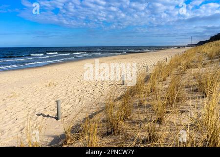 Sanddünen und ostsee Stockfoto
