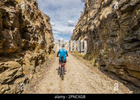 Eine Radfahrerin, die durch eine alte Eisenbahn fährt, die auf dem Radweg von Otago, South Island, Neuseeland, verläuft. Stockfoto