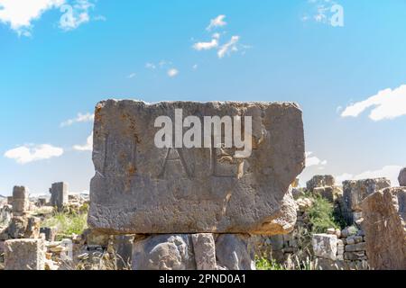 Stein mit einer Inschrift in lateinischer Schrift in der antiken Stadt Cuicul-Djemila. UNESCO-Weltkulturerbe. Stockfoto
