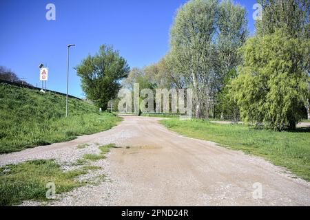 Unbefestigte Straße neben einem Hain und einem Ufer an einem sonnigen Tag Stockfoto