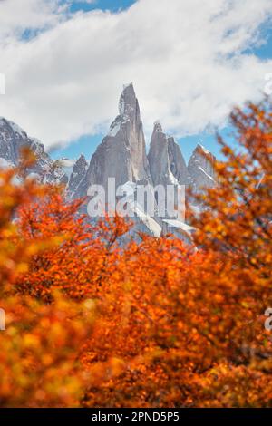 Der Gipfel des Cerro Torre ist von der lebhaften Farbe der Lengas-Bäume im Herbst umgeben, El Chalten, Santa Cruz, Patagonien Argentinien. Stockfoto