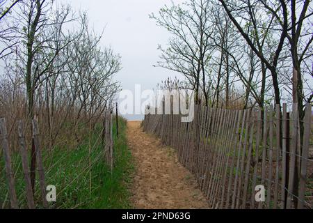 Sandweg zum Cliffwood Beach, flankiert von einem Holzzaun an einem nebeligen Frühlingsmorgen -01 Stockfoto
