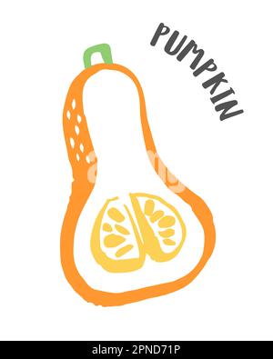 Butternut Squash Zeichnung handbemalt mit Tintenpinsel isoliert auf weißem Hintergrund. Vektorgrafik Stock Vektor