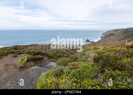 Der Küstenweg und die Küste am 29. Oktober 2022 in Crackington Haven, Cornwall, England. Kredit: SMP News Stockfoto