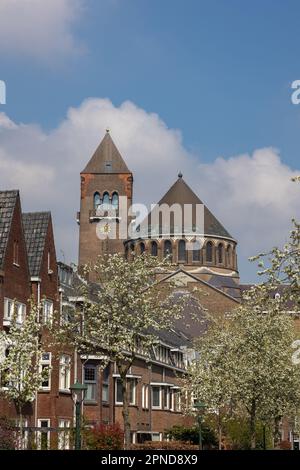 Die Jahrhunderte alte Stadt Hertogenbosch im Frühling mit blühenden Bäumen am Straßenrand und einer wunderschönen Kirche im Hintergrund, Provinz o Stockfoto