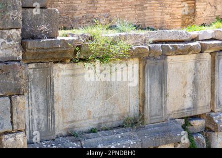 Stein mit einer Inschrift in lateinischer Schrift in der antiken Stadt Cuicul-Djemila. UNESCO-Weltkulturerbe. Stockfoto