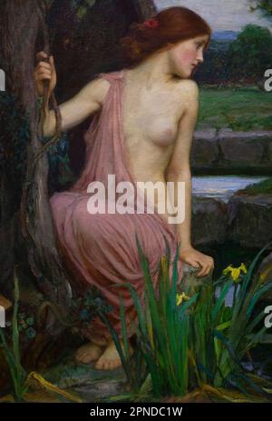 Echo und Narcissus, John William Waterhouse, Einheit 1903, Stockfoto