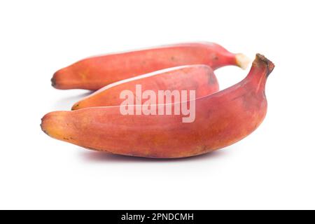 Leckere rote Bananen isoliert auf weißem Hintergrund. Stockfoto