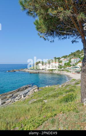 Strand und Dorf Seccheto auf der Insel Elba, Toskana, Mittelmeer, Italien Stockfoto