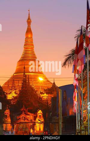 Die riesige Stupa der Shwedagon-Pagode mit buddhistischen Fahnen im Vordergrund in der Dämmerung, Yangon, Myanmar. Stockfoto