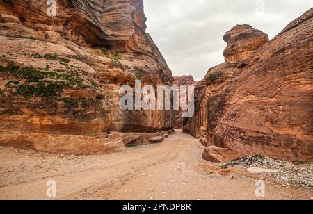 Al Siq Canyon in Petra, Jordanien, orangefarbene rote Sandsteinwände auf beiden Seiten Stockfoto