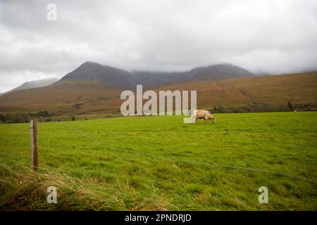 Jeden Tag auf der Isle of Skye, Schottland, Großbritannien Stockfoto