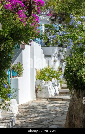 Tinos Insel Griechenland. Kykladische Architektur im Dorf Volax. Gepflasterte Gasse, rosa Bougainvillea, weiß getünchte Wände Stockfoto