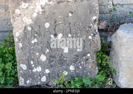 Stein mit einer Inschrift in lateinischer Schrift in der antiken Stadt Cuicul-Djemila. UNESCO-Weltkulturerbe. Stockfoto
