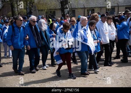 Czestochowa, Polen. 18. April 2023. Die Überlebenden mit israelischen Flaggen in Auschwitz, einem ehemaligen deutschen Konzentrations- und Vernichtungslager. Jedes Jahr kommen Tausende Juden nach Auschwitz-Birkenau, einem ehemaligen deutschen konzentrations- und Vernichtungslager, um am Internationalen Marsch der Lebenden teilzunehmen. Überlebende des Holocaust nehmen ebenfalls am marsch Teil. Kredit: SOPA Images Limited/Alamy Live News Stockfoto