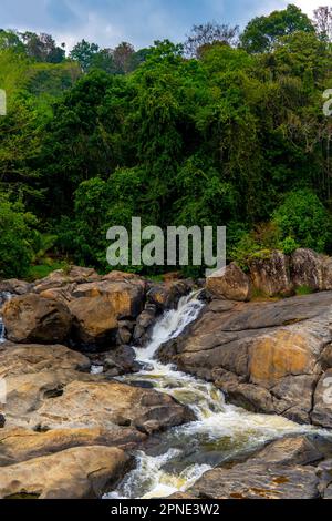 Waldbach, der die felsigen Felsbrocken hinunterrollt, mit dichtem Wald im Hintergrund Stockfoto