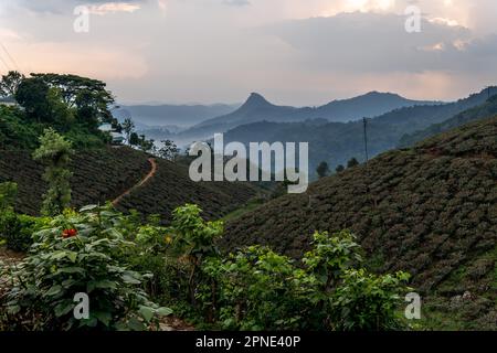 Eine herrliche Landschaft mit riesigen Bergen, bedeckt von flauschigen Wolken und schimmerndem Tau, verzaubert die Sinne. Stockfoto