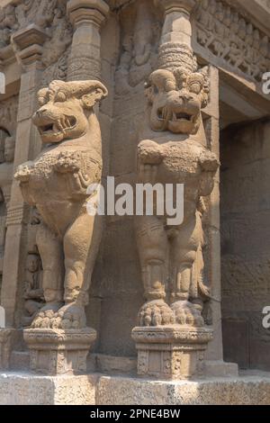 Alte Skulptur von zwei mythologischen Löwen an der Wandecke des Kailasanatha-Tempels, Kanchipuram (Kancheepuram Kanjivaram), Tamil-Nadu, Indien. Stockfoto