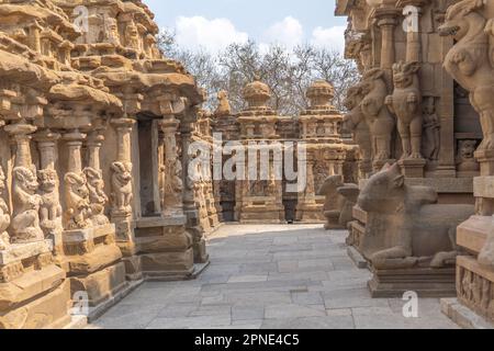 Tempelkorridor mit seinen wunderschönen alten Skulpturen von mythologischen Löwen und Nandhi (bullengott) im Kailasanatha-Tempel, Kanchipuram (Kancheepuram Kanjiva) Stockfoto