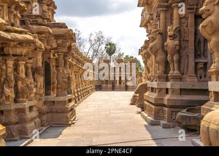 Tempelkorridor mit seinen wunderschönen alten Skulpturen des mythologischen Löwen im Kailasanatha-Tempel, Kanchipuram (Kancheepuram Kanjivaram), Tamil-Nadu, Indi Stockfoto