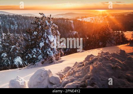 Eine wunderschöne Winterlandschaft im Maljen-Berg, Divcibare, Serbien, bei Sonnenuntergang. Berglandschaft im Winter mit Wäldern und Feldern, die mit en bedeckt sind Stockfoto