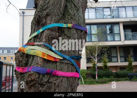 Maidenhead, Berkshire, Großbritannien. 18. April 2023. Bäume in der Nähe des Rathauses von Maidenhead haben Strickschals um sie herum. Die Einheimischen veranstalteten heute Abend eine Nachtwache vor dem Maidenhead Town Hall, um den Verlust von 200 Hektar Grünland im Maidenhead Golf Club zu betrauern. Das Land, das Teil des Wahlkreises der Abgeordneten Theresa May ist, wurde von Lord Grenville den Menschen von Maidenhead überlassen und sollte nicht erbaut werden. Allerdings plant Cala Homes, 1.800 Häuser an diesem Ort zu bauen, in denen Bäume und Lebensräume von Wildtieren zerstört werden. Obwohl es sich um Grünland handelt, wurde es in den lokalen Entwicklungsplan der Gemeinde aufgenommen. Kredit: Maureen M. Stockfoto