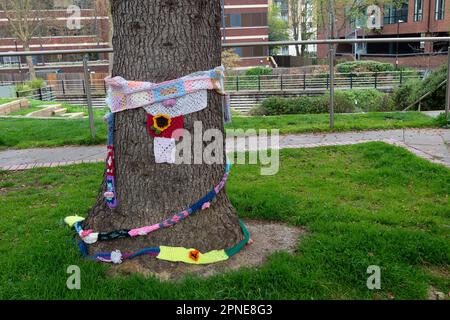 Maidenhead, Berkshire, Großbritannien. 18. April 2023. Bäume in der Nähe des Rathauses von Maidenhead haben Strickschals um sie herum. Die Einheimischen veranstalteten heute Abend eine Nachtwache vor dem Maidenhead Town Hall, um den Verlust von 200 Hektar Grünland im Maidenhead Golf Club zu betrauern. Das Land, das Teil des Wahlkreises der Abgeordneten Theresa May ist, wurde von Lord Grenville den Menschen von Maidenhead überlassen und sollte nicht erbaut werden. Allerdings plant Cala Homes, 1.800 Häuser an diesem Ort zu bauen, in denen Bäume und Lebensräume von Wildtieren zerstört werden. Obwohl es sich um Grünland handelt, wurde es in den lokalen Entwicklungsplan der Gemeinde aufgenommen. Kredit: Maureen M. Stockfoto