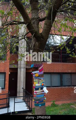 Maidenhead, Berkshire, Großbritannien. 18. April 2023. Bäume in der Nähe des Rathauses von Maidenhead haben Strickschals um sie herum. Die Einheimischen veranstalteten heute Abend eine Nachtwache vor dem Maidenhead Town Hall, um den Verlust von 200 Hektar Grünland im Maidenhead Golf Club zu betrauern. Das Land, das Teil des Wahlkreises der Abgeordneten Theresa May ist, wurde von Lord Grenville den Menschen von Maidenhead überlassen und sollte nicht erbaut werden. Allerdings plant Cala Homes, 1.800 Häuser an diesem Ort zu bauen, in denen Bäume und Lebensräume von Wildtieren zerstört werden. Obwohl es sich um Grünland handelt, wurde es in den lokalen Entwicklungsplan der Gemeinde aufgenommen. Kredit: Maureen M. Stockfoto