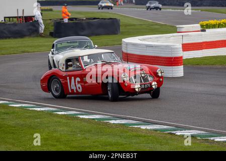 April 2023 - Red Austin Healy überrollt aus der Schikane beim Goodwood Member Meeting 80. Stockfoto