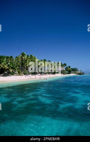 Strand im Fidschi Resort, Viti Levu, Fidschi Stockfoto