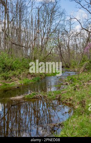 Ein Spaziergang entlang des Willoughby Run am Frühlingsnachmittag in Gettysburg, Pennsylvania, USA, Gettysburg, Pennsylvania Stockfoto