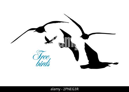 Die Silhouette fliegender Möwen. Vektordarstellung Stock Vektor