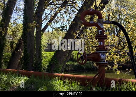 Hydrant und rote Rohrleitung, die ihn am Seeufer in einem Park verbinden Stockfoto