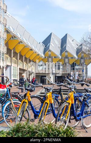 Cube Houses (Kubuswoningen), Hoogstraat, Stadsdriehoek, Rotterdam, Provinz Südholland, Königreich der Niederlande Stockfoto