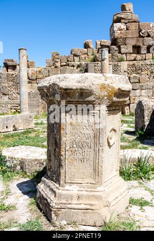 Stein mit einer Inschrift in lateinischer Schrift in der antiken Stadt Cuicul-Djemila. UNESCO-Weltkulturerbe. Stockfoto