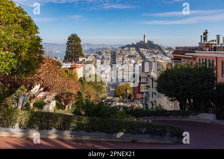 Ein Bild des Coit Tower auf dem Telegraph Hill, wie er im Herbst von der Lombard Street aus gesehen wird. Stockfoto