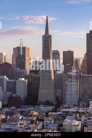 Ein Bild der Transamerica Pyramide und der umliegenden Innenstadt von San Francisco. Stockfoto