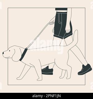 Junge Frau in Shorts mit einem großen Hund an der Leine. Süßer labrador auf einem Spaziergang. Hundeshow oder Hundegang in der Stadt oder im Park. Flache Vektorkontur Stock Vektor