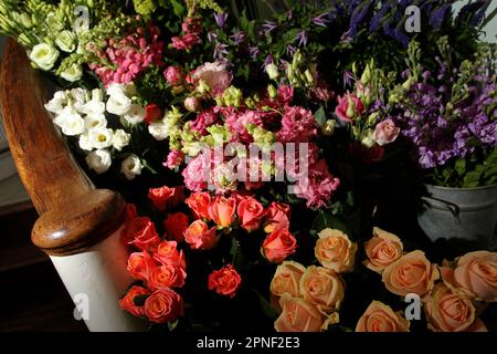 Blumen, Pflanzen und Blumensträuße zum Verkauf in einem Blumengeschäft und einer Blumenwerkstatt in Chichester, West Sussex, Großbritannien. Stockfoto