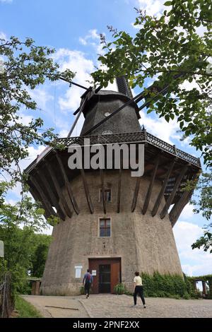 Historische Mühle Sanssouci mit Mühlenmuseum, Deutschland, Brandenburg, Potsdam Stockfoto