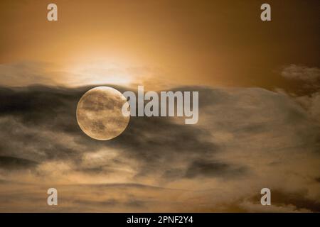 Vollmond, der durch driftende Wolken scheint, Deutschland Stockfoto