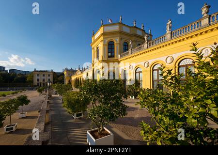 Orangerie im Karlsaue-Park, Abteilung, Deutschland, Hessen, Kassel Stockfoto