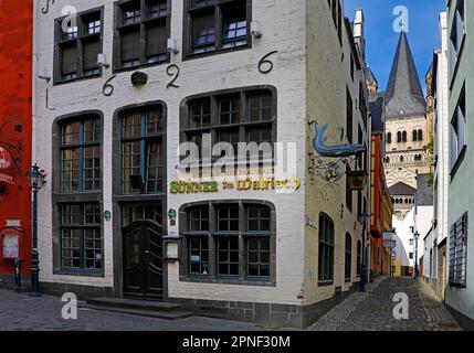 Brauereilokal Suenner im Walfisch in der Salzgasse, an der Ecke Rothenberg, große St. Martin-Kirche im Hintergrund, Deutschland, Norden Stockfoto